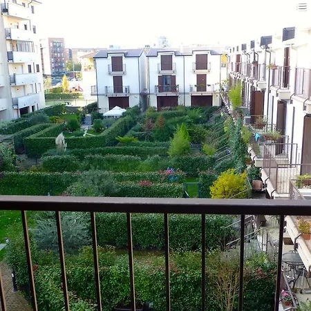 Rutilia22 * Milaan